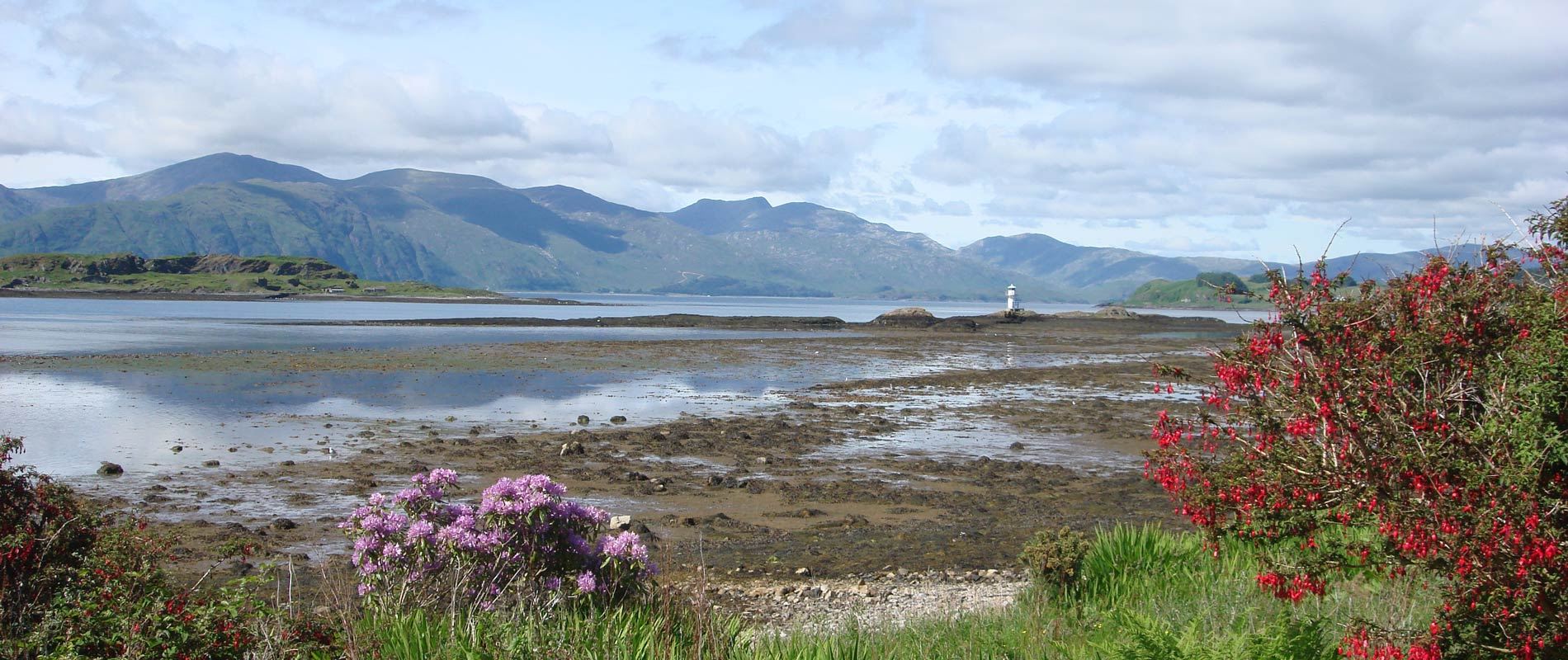 calm waters of Port Appin with a backdrop of green hills and red berry bushes in the foreground