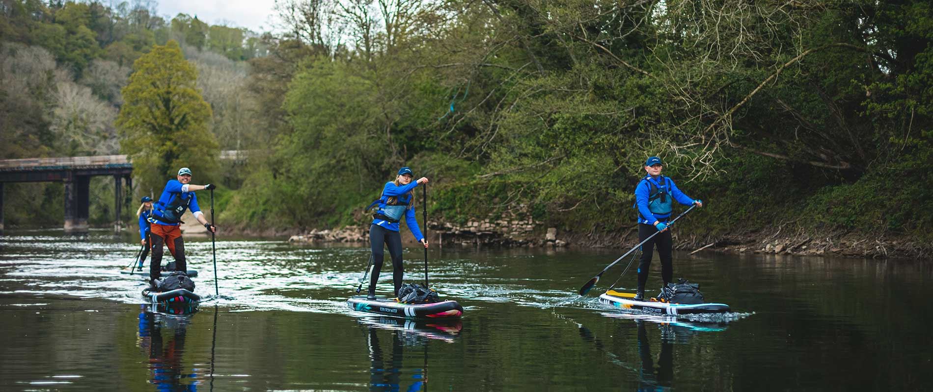 Three people navigating stand-up paddle boards across serene waters, surrounded by nature