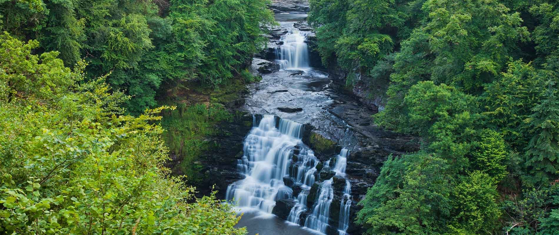 flowing water runs down a waterfall at Clyde Valley surrounded by lush trees and bushes 