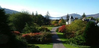 Green tress and bushes of attadable gardens against a clear blue sky 