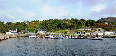 boats lined in in Gairloch with trees in the background 