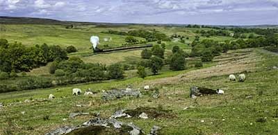 Grassy knolls of Goathland in Yorkshire, with trees and steam train in distance