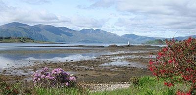 wild flowers along the bank to port applin with mountains in the background