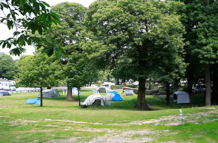 Pitch up at Abbey Wood in the leafy camping area